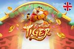 Baixar Aplicativo Lot Of Money Tiger